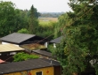 baumfaell_stahlhut_reinsen_865
