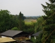 baumfaell_stahlhut_reinsen_868