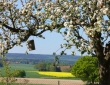 Fernblick aus dem Garten von Henning Böger, Reinsen