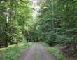 Wanderweg-Huelsenweg-4