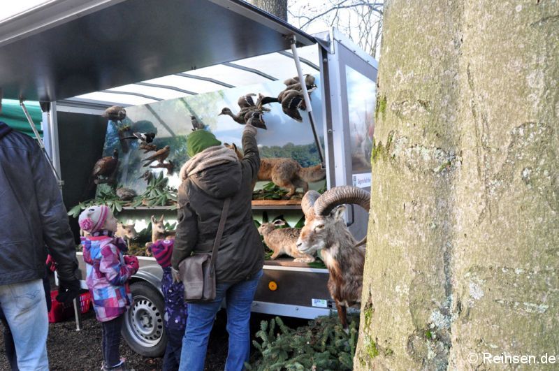 Weihnachtsmarkt 2014 der Kreisjägerschaft Schaumburg - Bild 16
